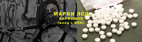 ПСИЛОЦИБИНОВЫЕ ГРИБЫ Алзамай