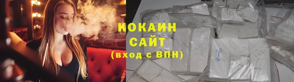 ПСИЛОЦИБИНОВЫЕ ГРИБЫ Алзамай