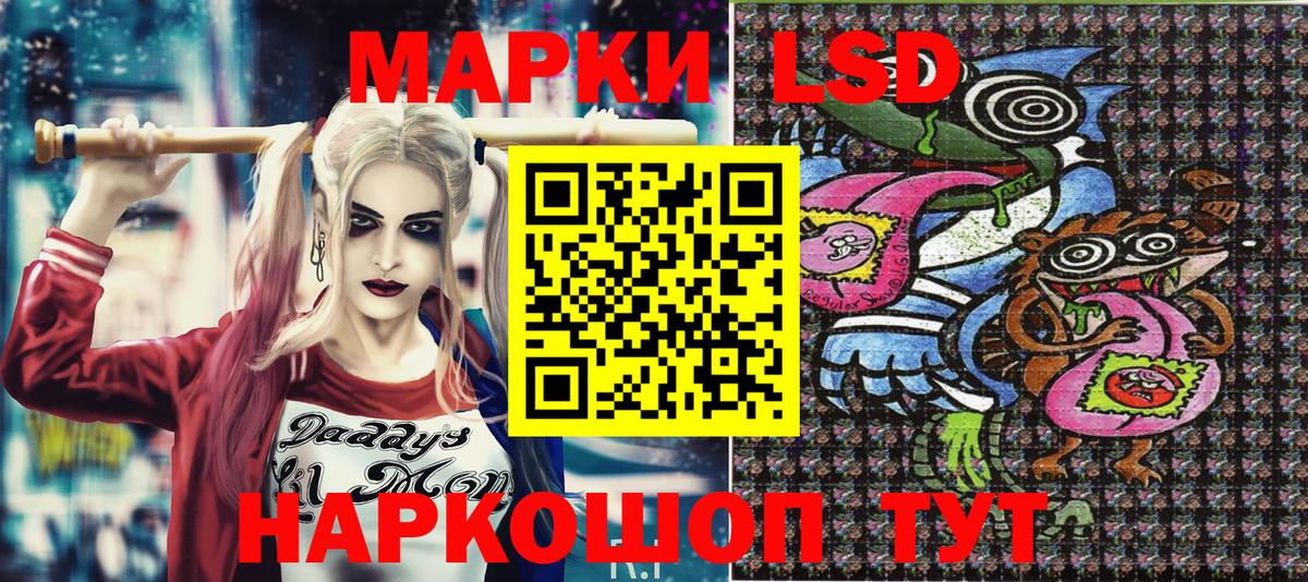 Марки N-bome 1500мкг  наркотики  Шадринск  Вход с VPN 