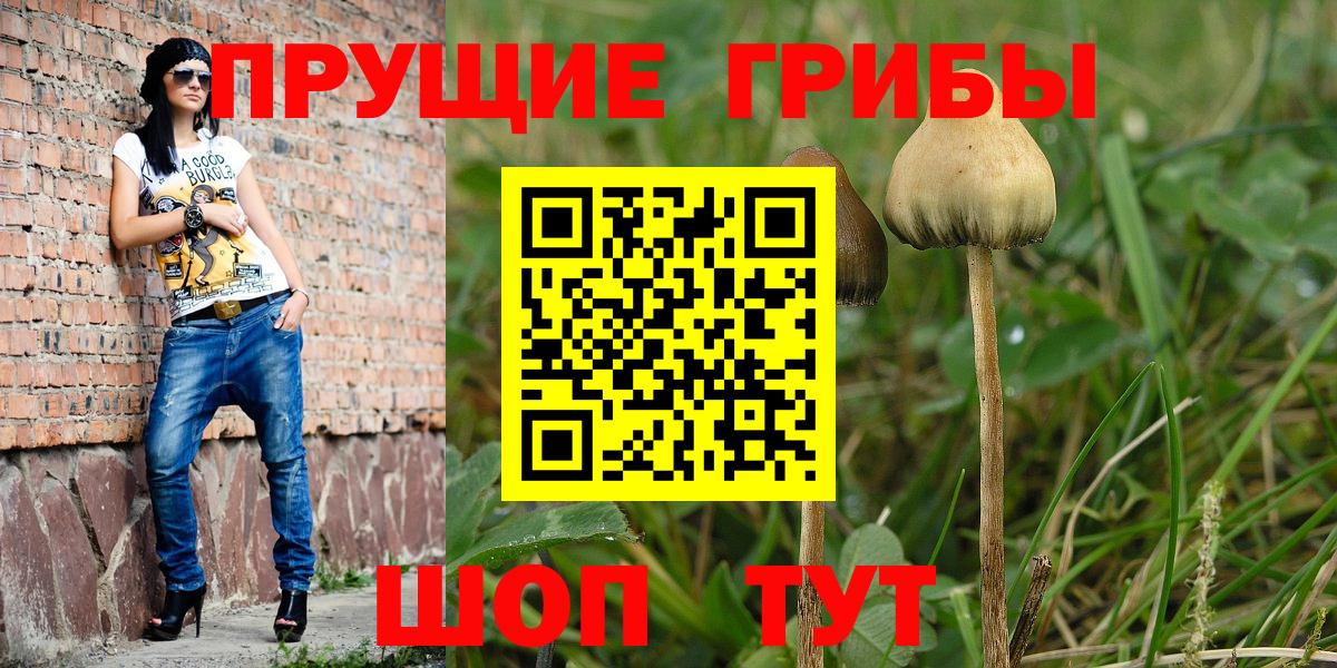 Шадринск  Галлюциногенные грибы мухоморы  Псилоцибиновые грибы прущие грибы  Вход с VPN 