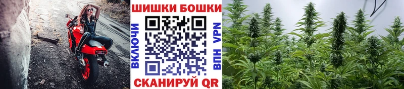наркошоп  Шадринск  Бошки марихуана Ganja 